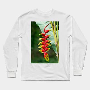 rbs hanging lobster claw Long Sleeve T-Shirt